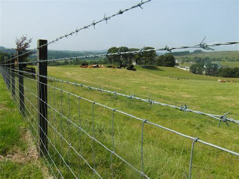 Barbed Wire Fencing